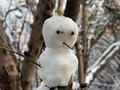 -敬亭山风景名胜区