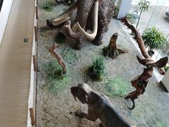 -中国第四纪冰川遗迹陈列馆