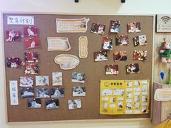 -滚猫咖啡·猫咖·猫友好撸猫(未来城店)