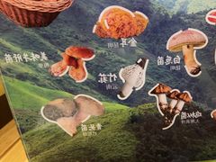 -季季山·云南野生菌火锅(上海首店)