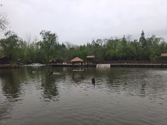 -溱湖国家湿地公园