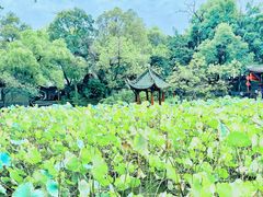 -房湖公园