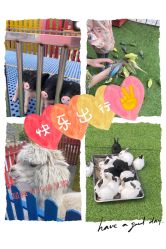 -萌宠亲子动物乐园(槐房万达店)