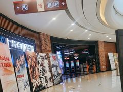 -SFC上影百联影城(川沙IMAX店)