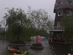 -洛阳郁金香牡丹园