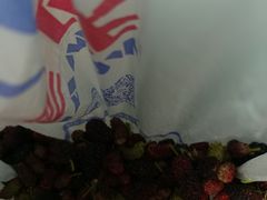 -御林古桑园