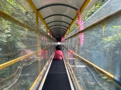 -七仙岭温泉国家森林公园