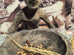 -广州神农草堂中医药博物馆