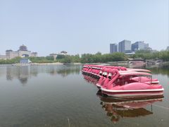 -莲花池公园