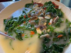 鲜贝灼碧绿桑叶-金苑酒家·客家菜·广东老字号(万象店)
