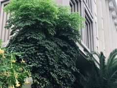 -成都诺亚8号酒店