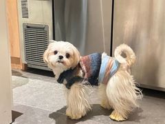-汇腾天虹(吕厝店)