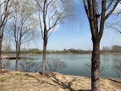 -东郊湿地公园