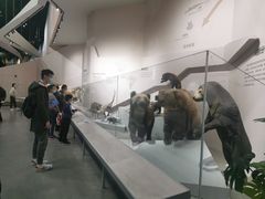 -武汉园博园(武汉自然博物馆)