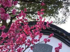 -无锡梅园公园
