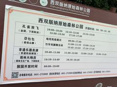 -西双版纳原始森林公园