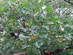 -沈阳辉山风景区