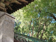 -北京国子监胡同
