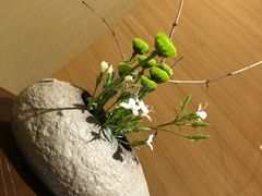 -西安华清御汤酒店