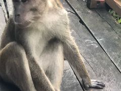 -大国药妆(NEW心斎橋店)