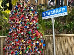 -西双版纳原始森林公园