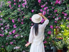 -谷咖啡·鲜花绿植花园餐厅