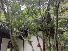 -汇龙潭