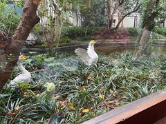 -广富林宰相府酒店·水云间