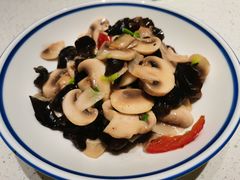 口蘑木耳-金锅小厨(乐活街店)