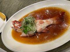 清蒸东星斑-御宝轩(益丰·外滩源店)