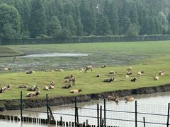 -溱湖国家湿地公园