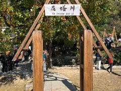-塔川景区