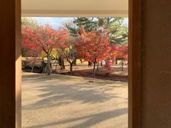 -奈良公园