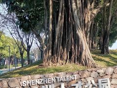 -深圳人才公园