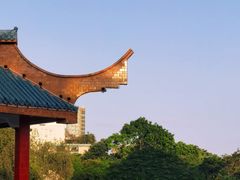 -金砂公园