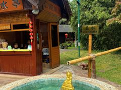 -云南民族村