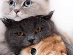 -乐潮汇时尚量贩式KTV(嘉业国际城购物中心店)