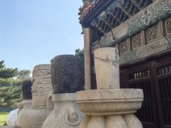 -北陵公园