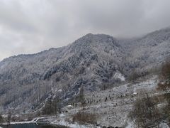 -卧龙自然保护区