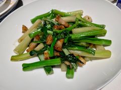 生炒连州苗族高山菜心-炳胜私厨(万象前海店)