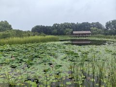 -张家湾公园