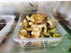iphone_upload_pic-金康园店
