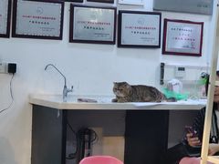 -严国平动物医院(德政总院)