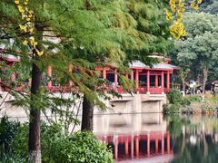 -重庆彩云湖湿地公园