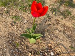 -重庆德庄火锅(体育中心店)