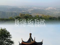 -黄埔油麻山森林公园