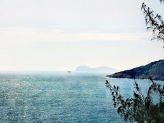 -广东惠东海龟国家级自然保护区