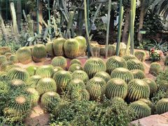 -石家庄市植物园
