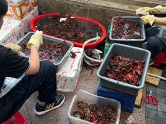 -小田油焖小龙虾(双井店)