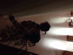 点击看大图 iphone_upload_pic-KIDSMEMO拾光纪儿童摄影(金丰大厦店)